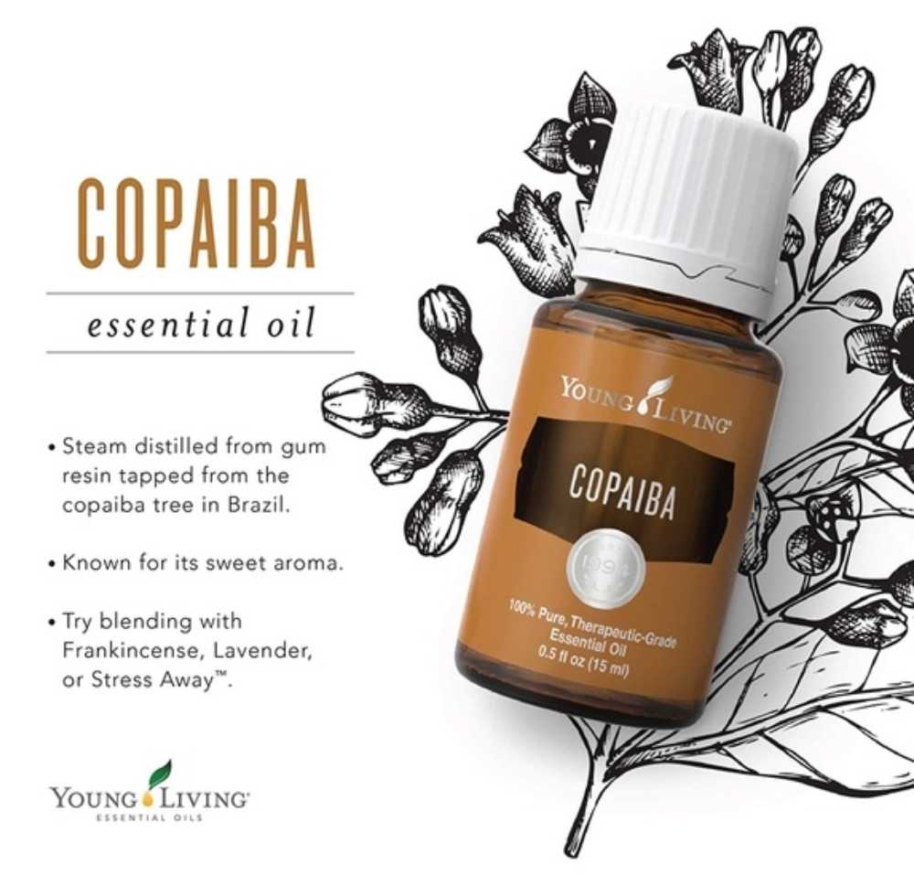Young Living コパイバ エッセンシャルオイル 15mL Young Living Copaiba Essential Oil – The Willows Day Spa & Gifts