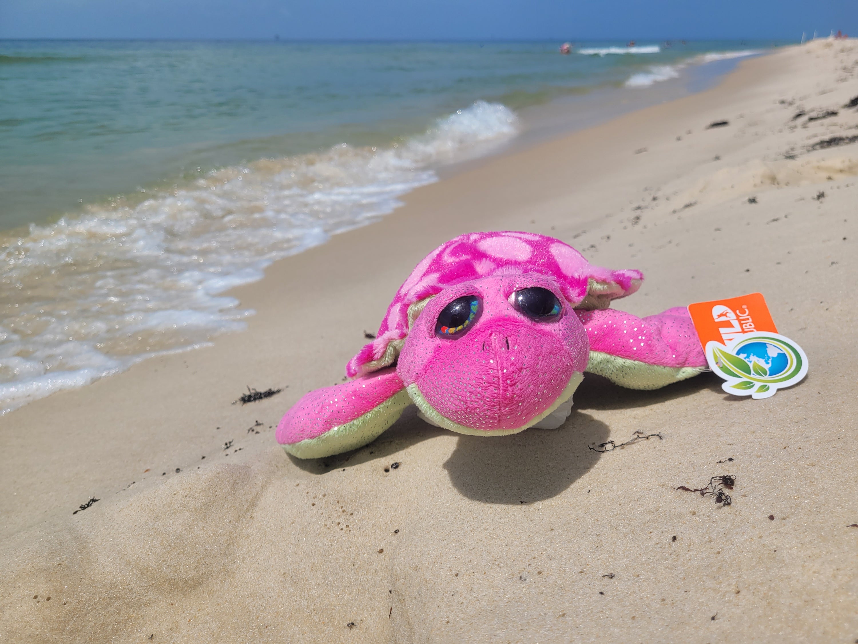 WILD REPUBLIC SWEET AND SASSY SEA TURTLE