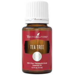 Young Living Tea Tree Essential Oil