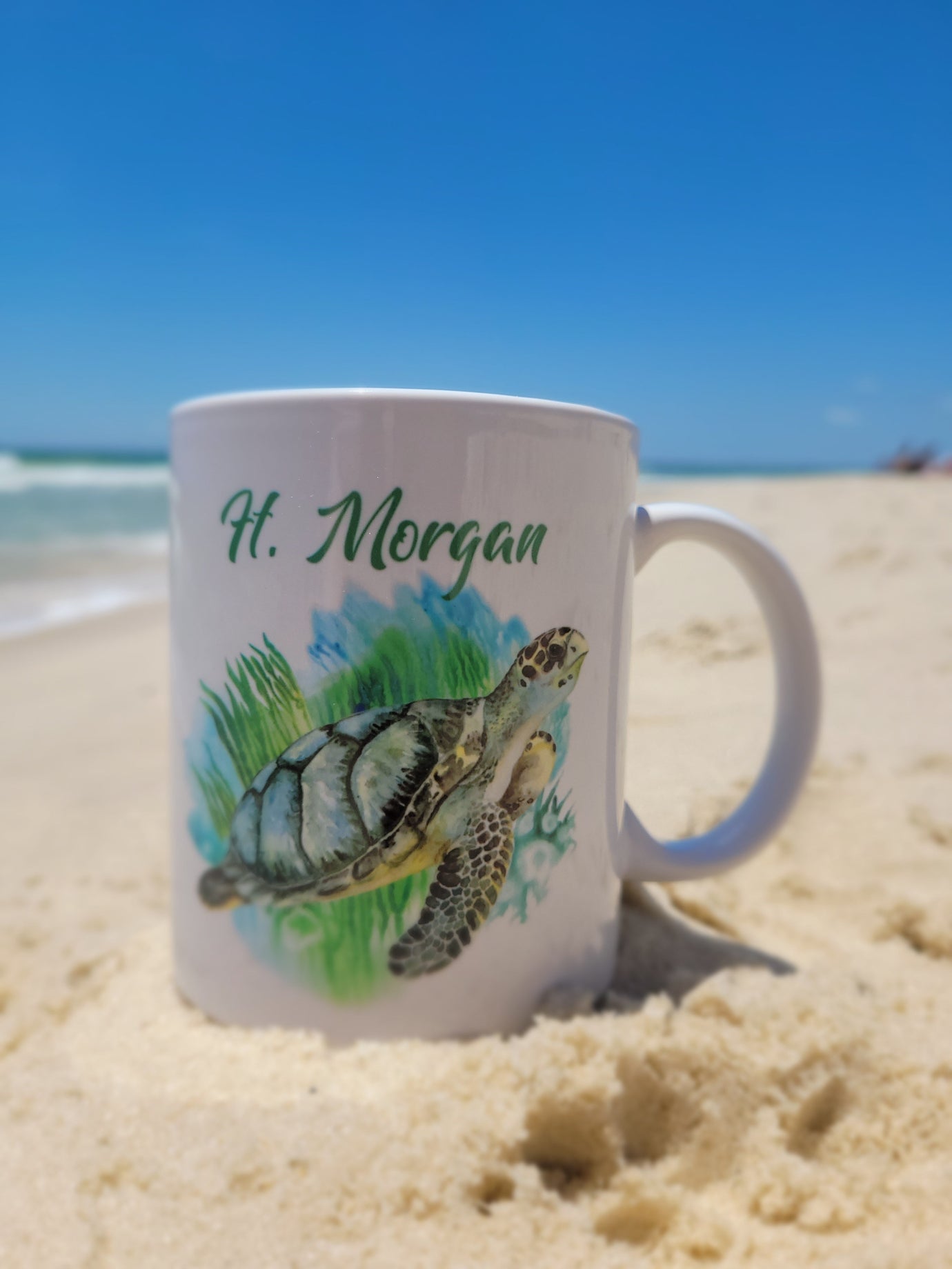 Sea Turtles