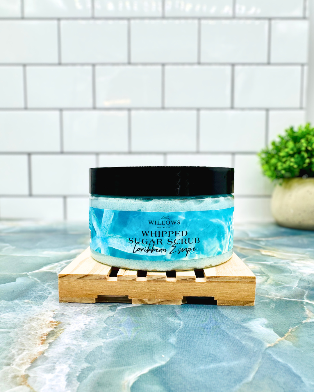 Willows CARIBBEAN ESCAPE sugar scrub