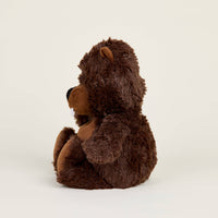 Brown teddy bear sitting on a light gray background