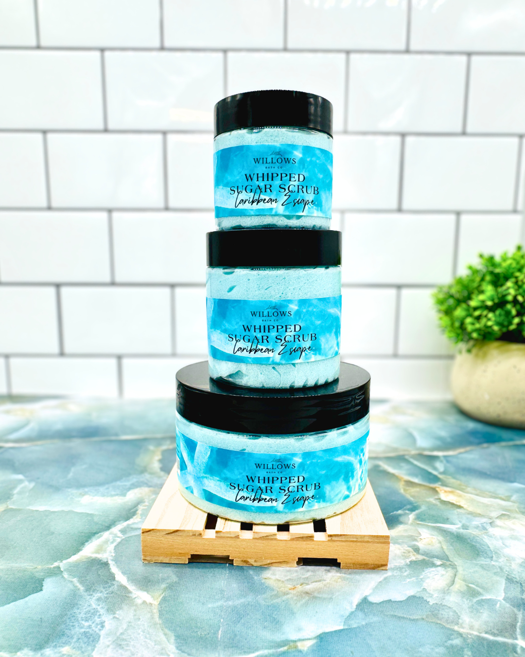 Willows CARIBBEAN ESCAPE sugar scrub