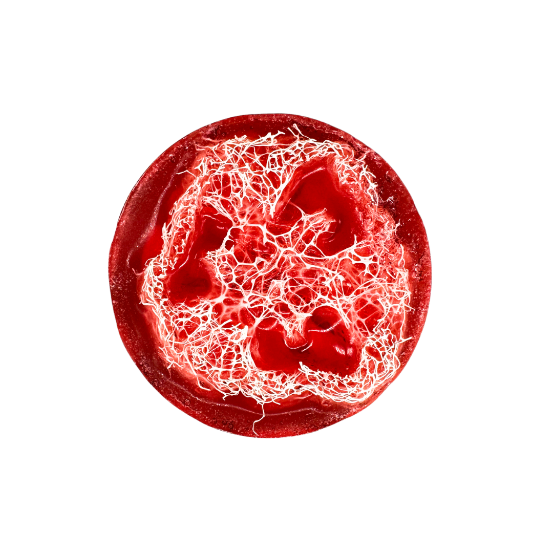 Willows ORANGE CRANBERRY Loofah Soap