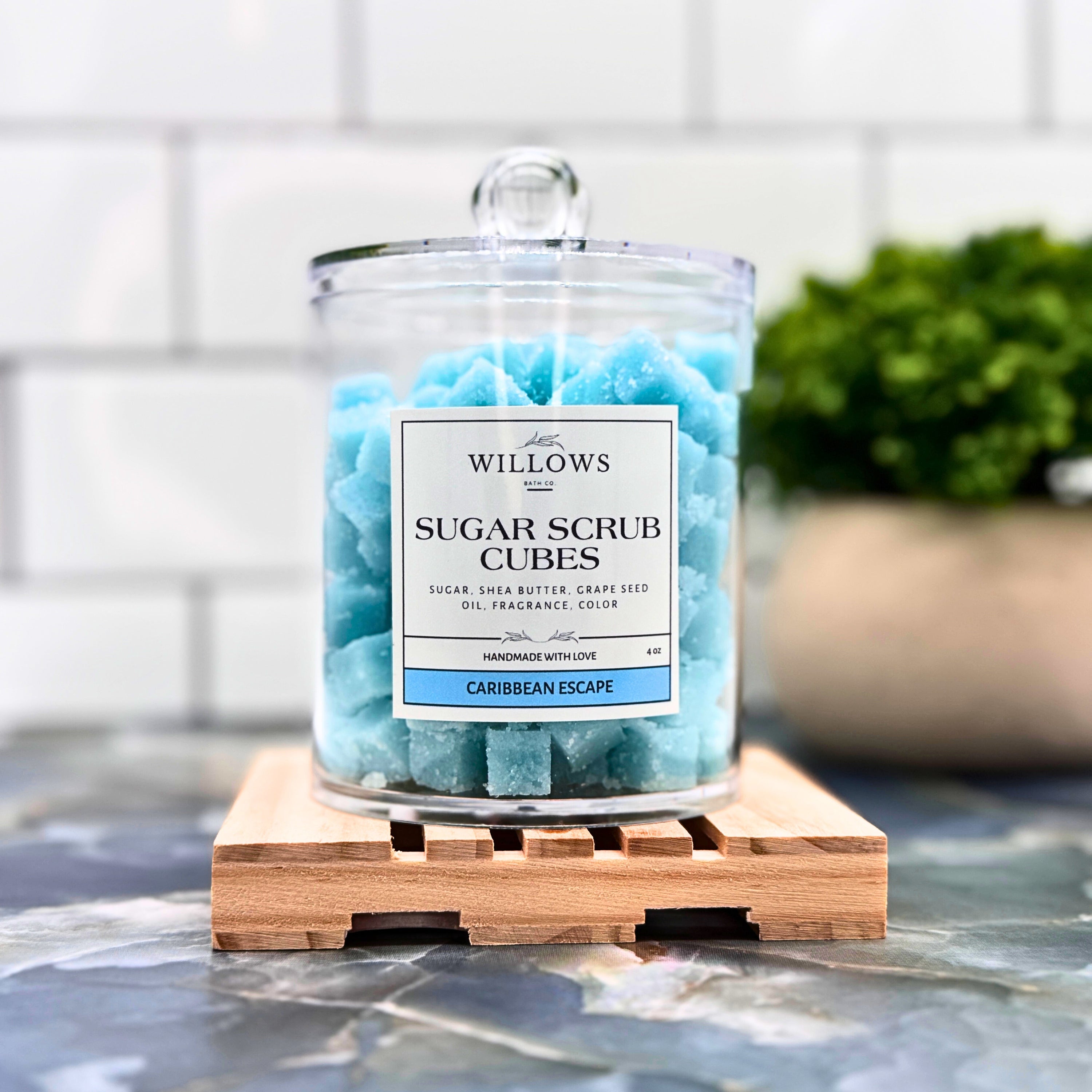 Willows Sugar Scrub Cubes CARIBBEAN ESCAPE