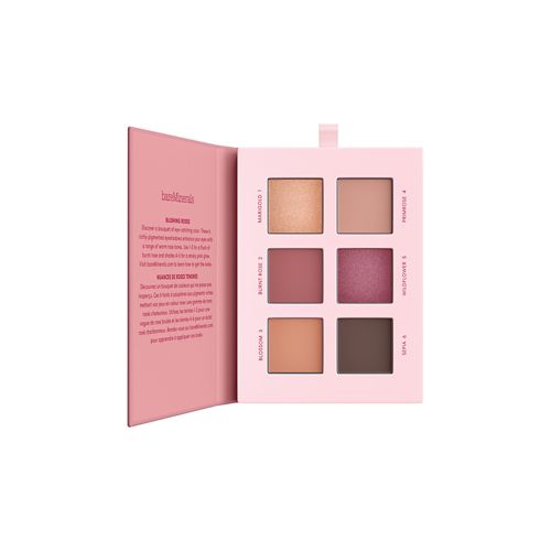 bareMinerals Rosewood Eyeshadow Palette