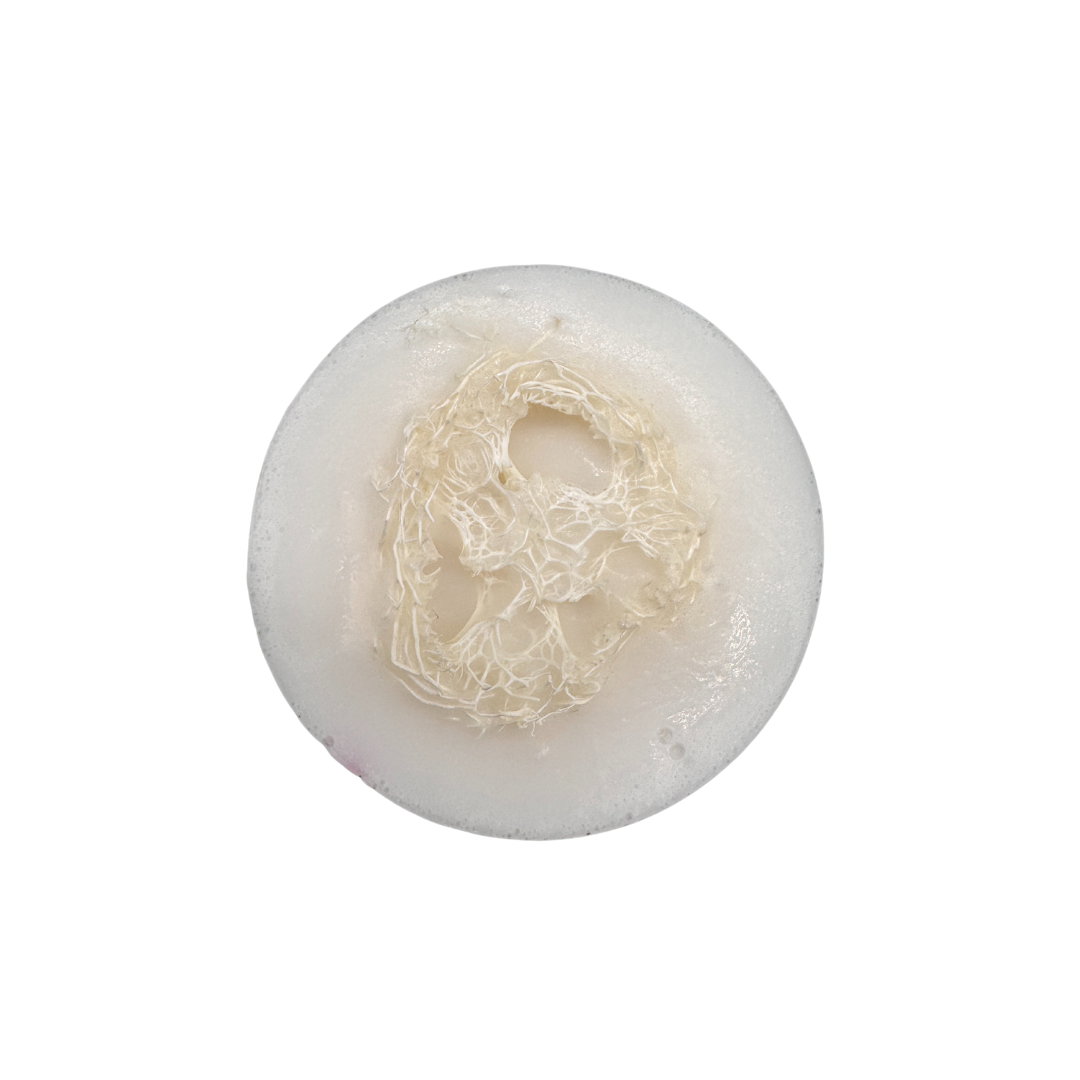 Peppermint Swirl Loofah Soap