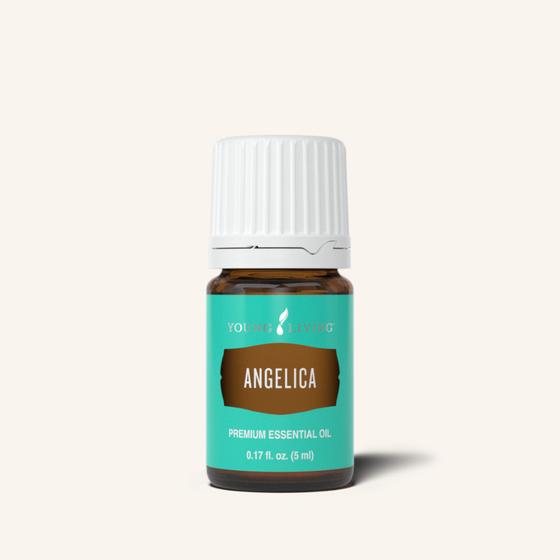 Young Living Angelica Essential Oil