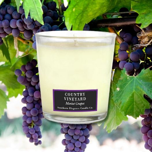 SOUTHERN ELEGANCE 11 OZ TUMBLER SOY CANDLE - Spring and Summer scents