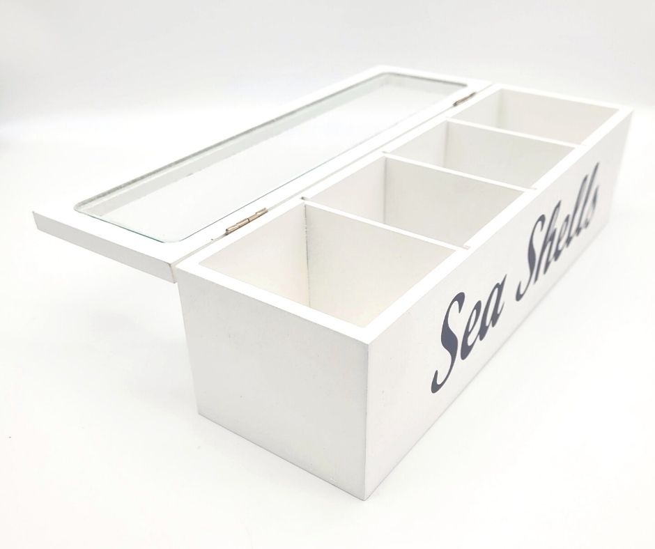 Sea Shell Collection Box
