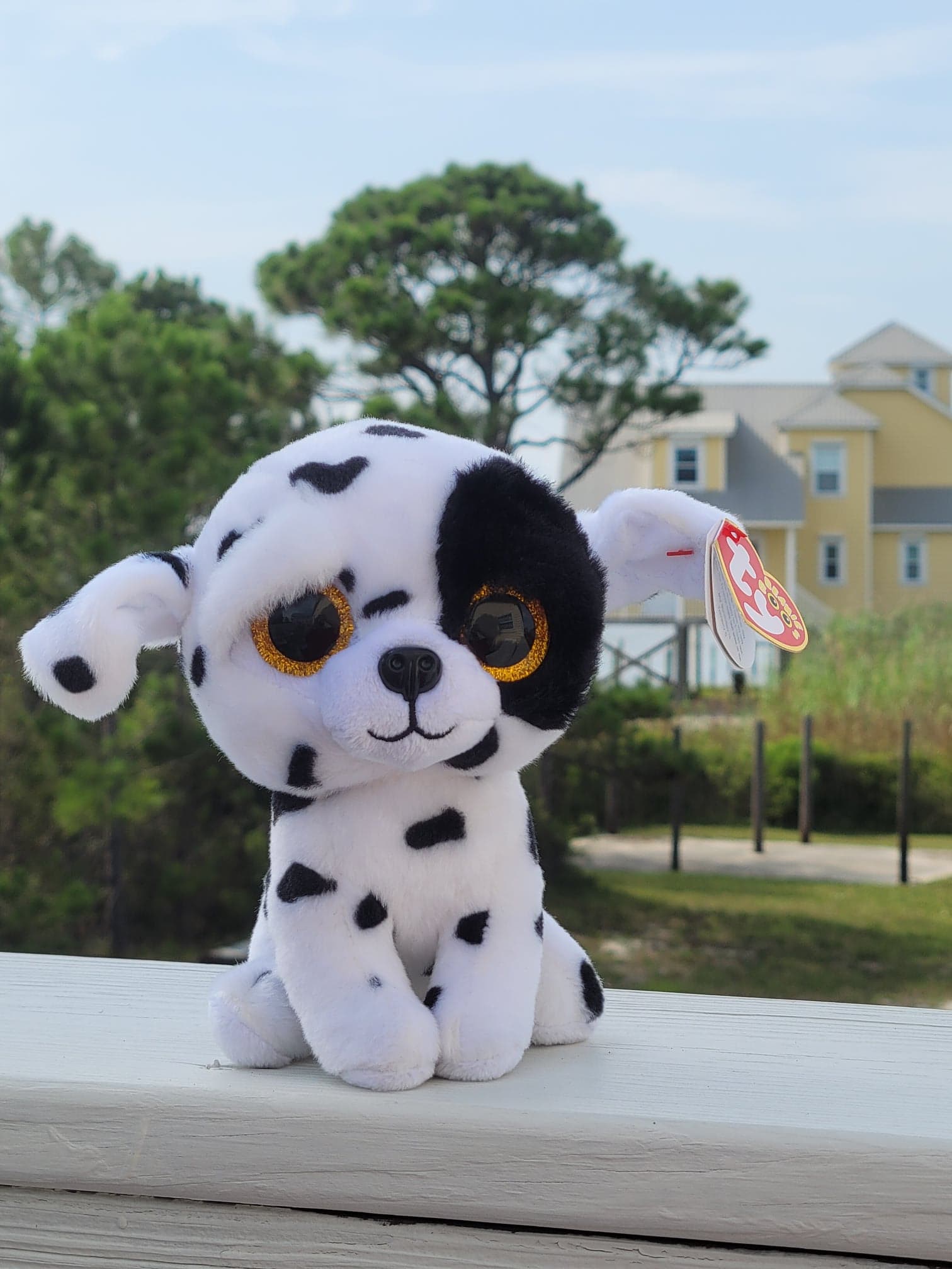 TY LUTHER SPOTTED DALMATION DOG BEANIE BOO