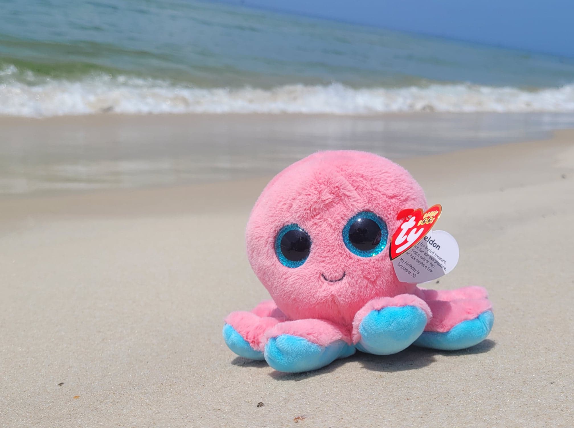 Beanie boos hot sale octopus