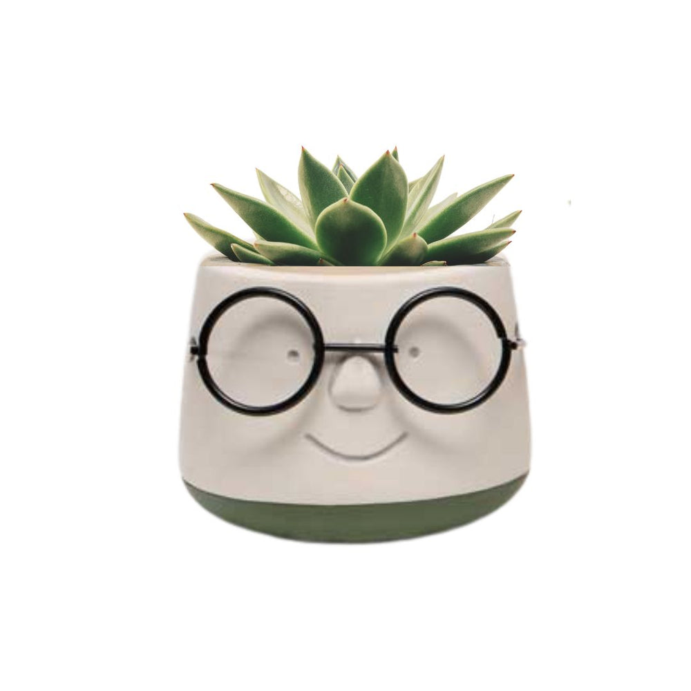 POINDEXTER CONCRETE POT WITH GLASSES