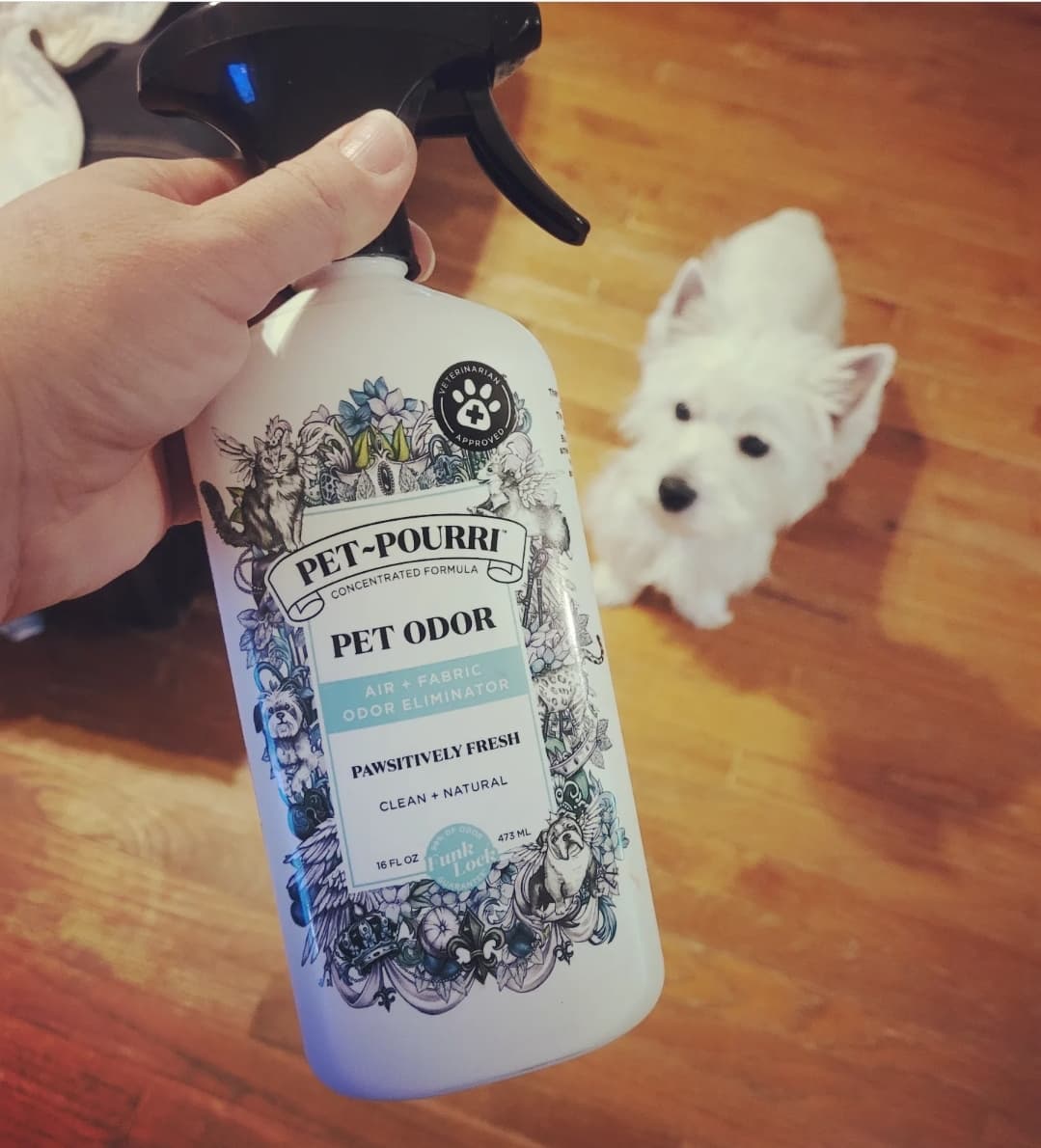 PET-POURRI PAWSITIVELY FRESH PET ODOR ELIMINATOR