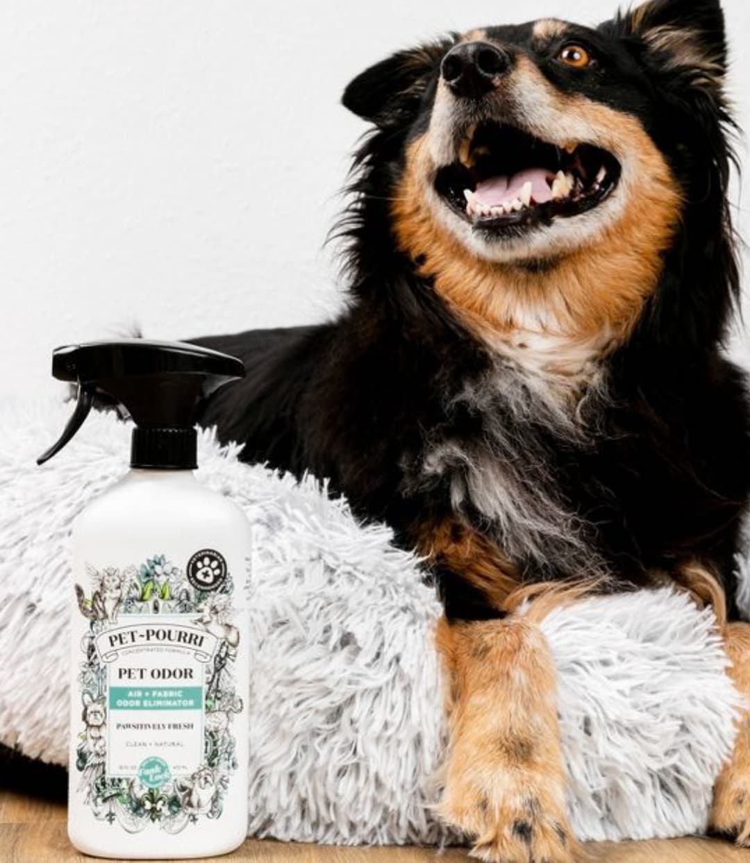 PET-POURRI PAWSITIVELY FRESH PET ODOR ELIMINATOR