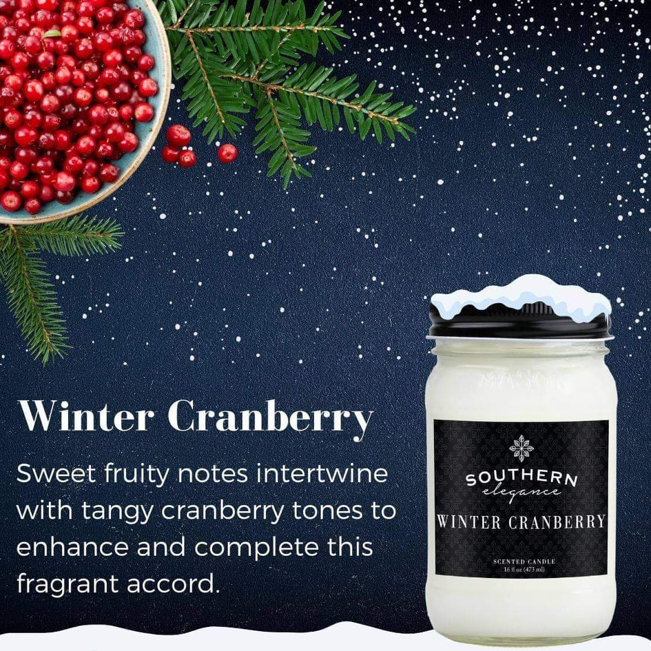 SOUTHERN ELEGANCE 16 OZ CANDLES - Holiday collection