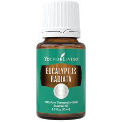 Young Living Eucalyptus Radiata Essential Oil